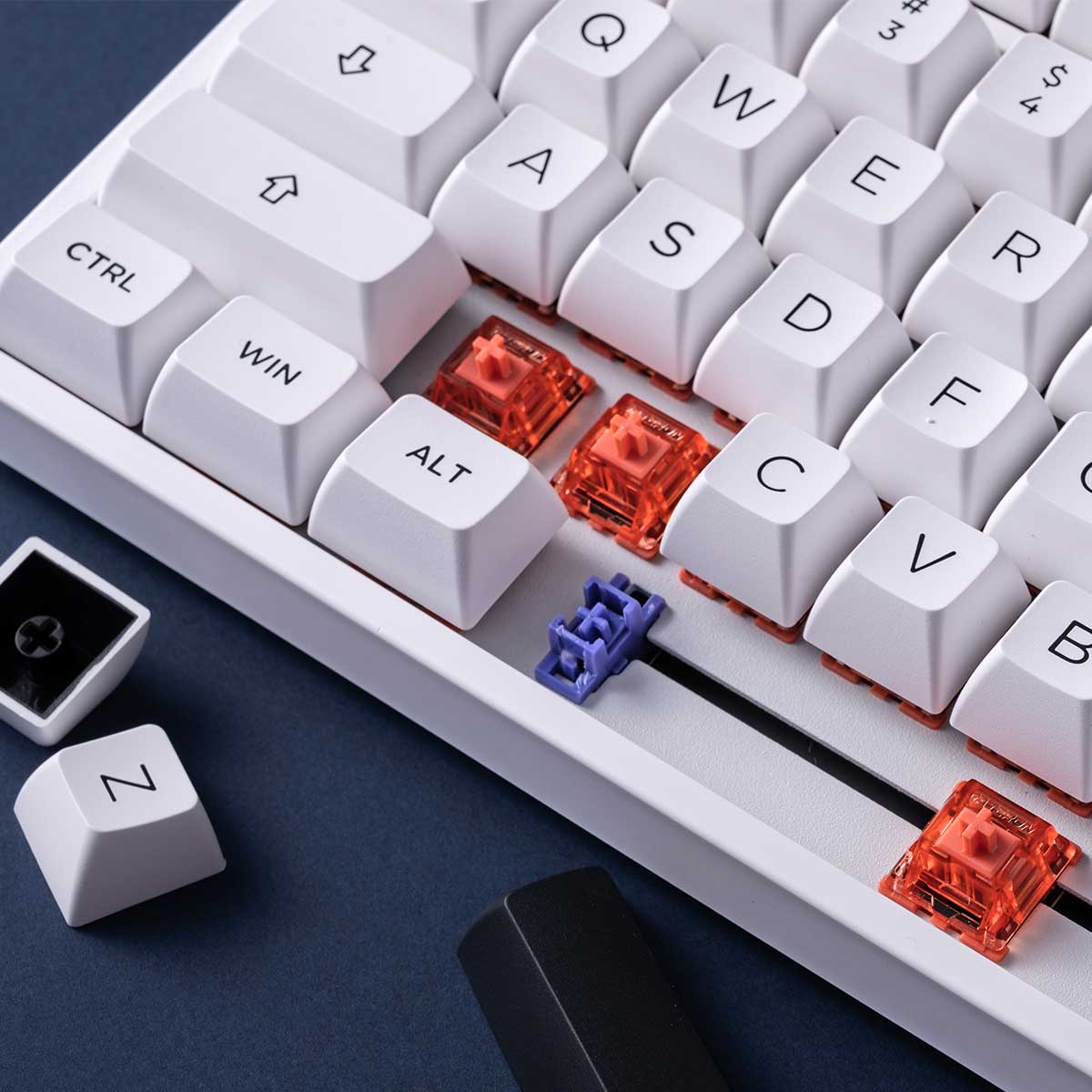 Akko 5087S VIA RGB Hot-Swappable Mechanical Keyboard Black on White (Gateron Orange-Lubed) - Image 11