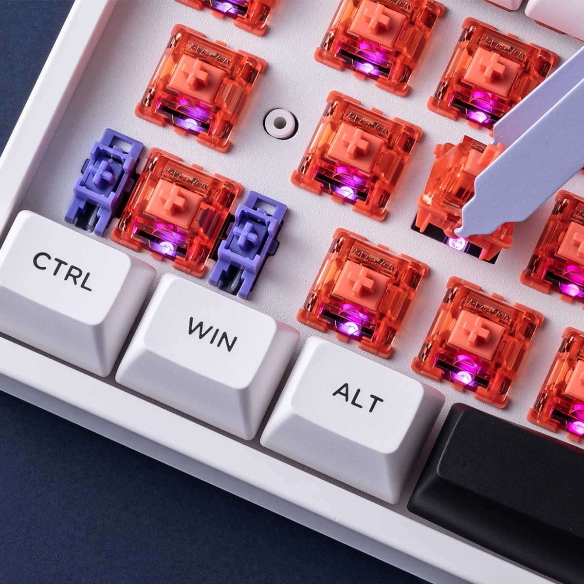Akko 5087S VIA RGB Hot-Swappable Mechanical Keyboard Black on White (Gateron Orange-Lubed) - Image 12
