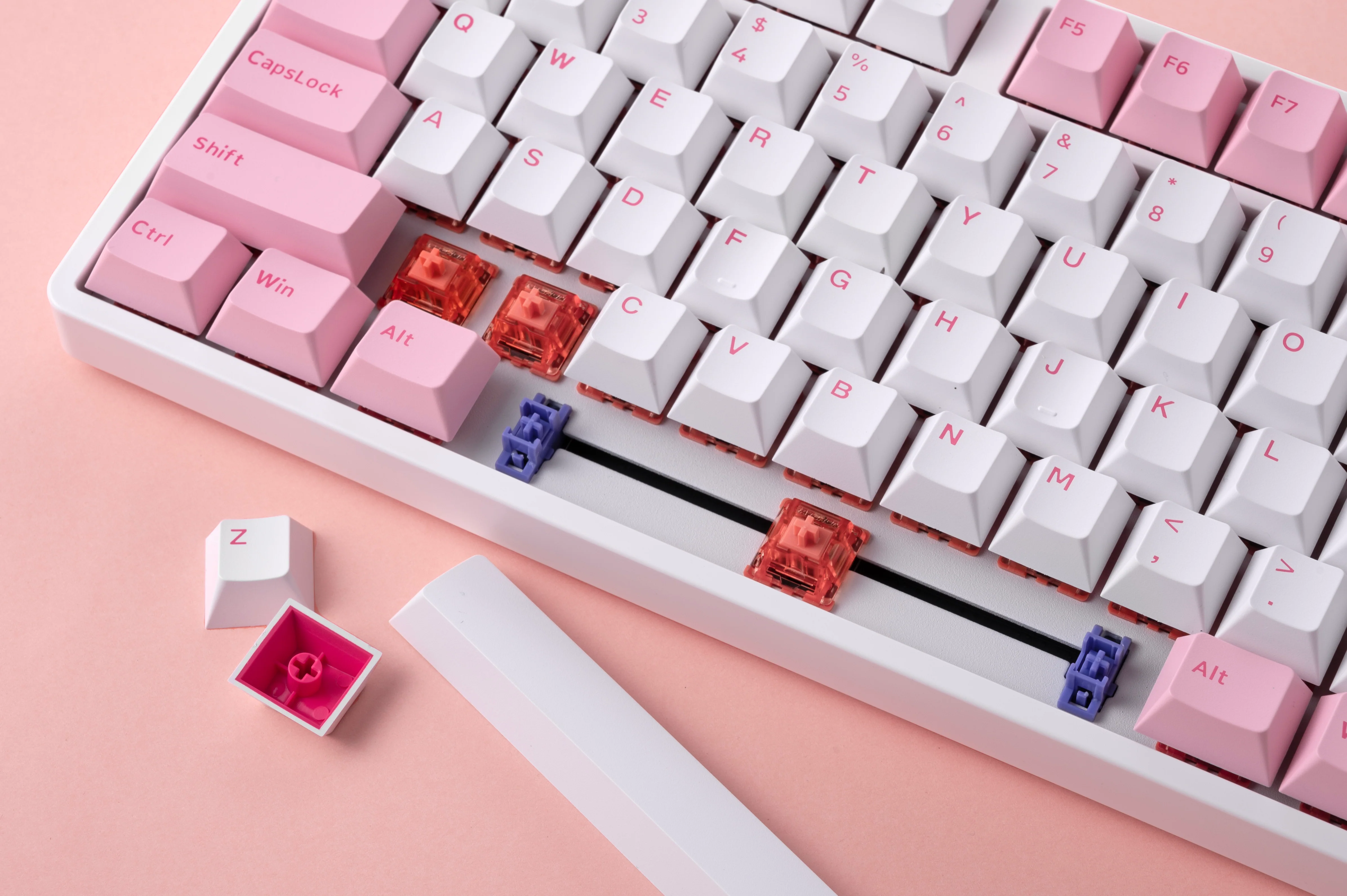 Akko 5087S Via RGB Hot-Swappable Mechanical Keyboard Prunus Lannesiana (Gateron Orange-Lubed) - Image 10