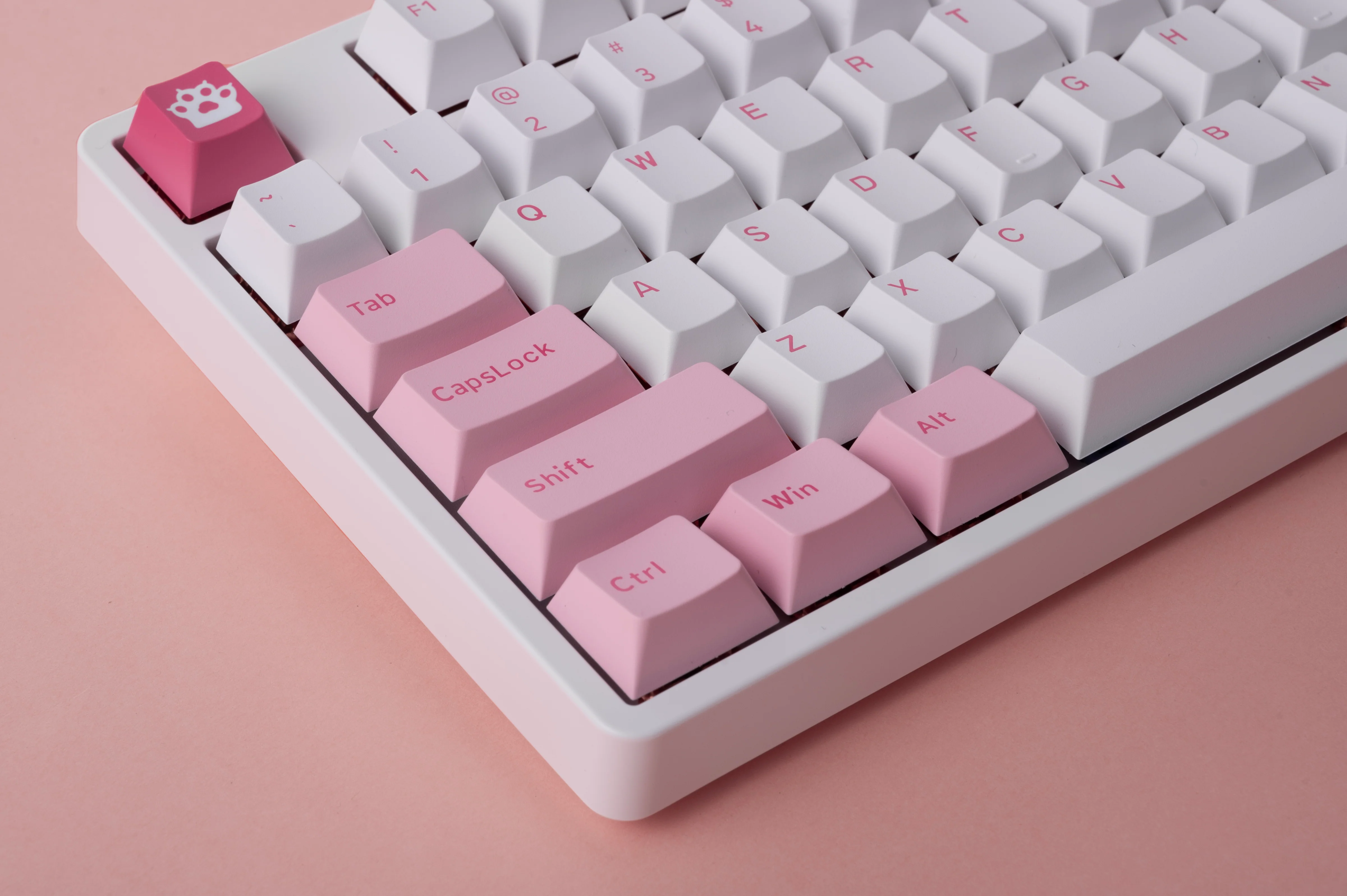 Akko 5087S Via RGB Hot-Swappable Mechanical Keyboard Prunus Lannesiana (Gateron Orange-Lubed) - Image 11
