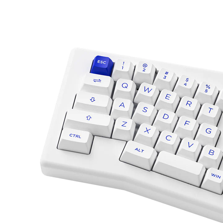 Akko ACR Pro Alice Plus Spray Painted Acrylic RGB Hot-Swappable Mechanical Keyboard Gasket Mount (White) (Akko Cs Crystal) - Image 5