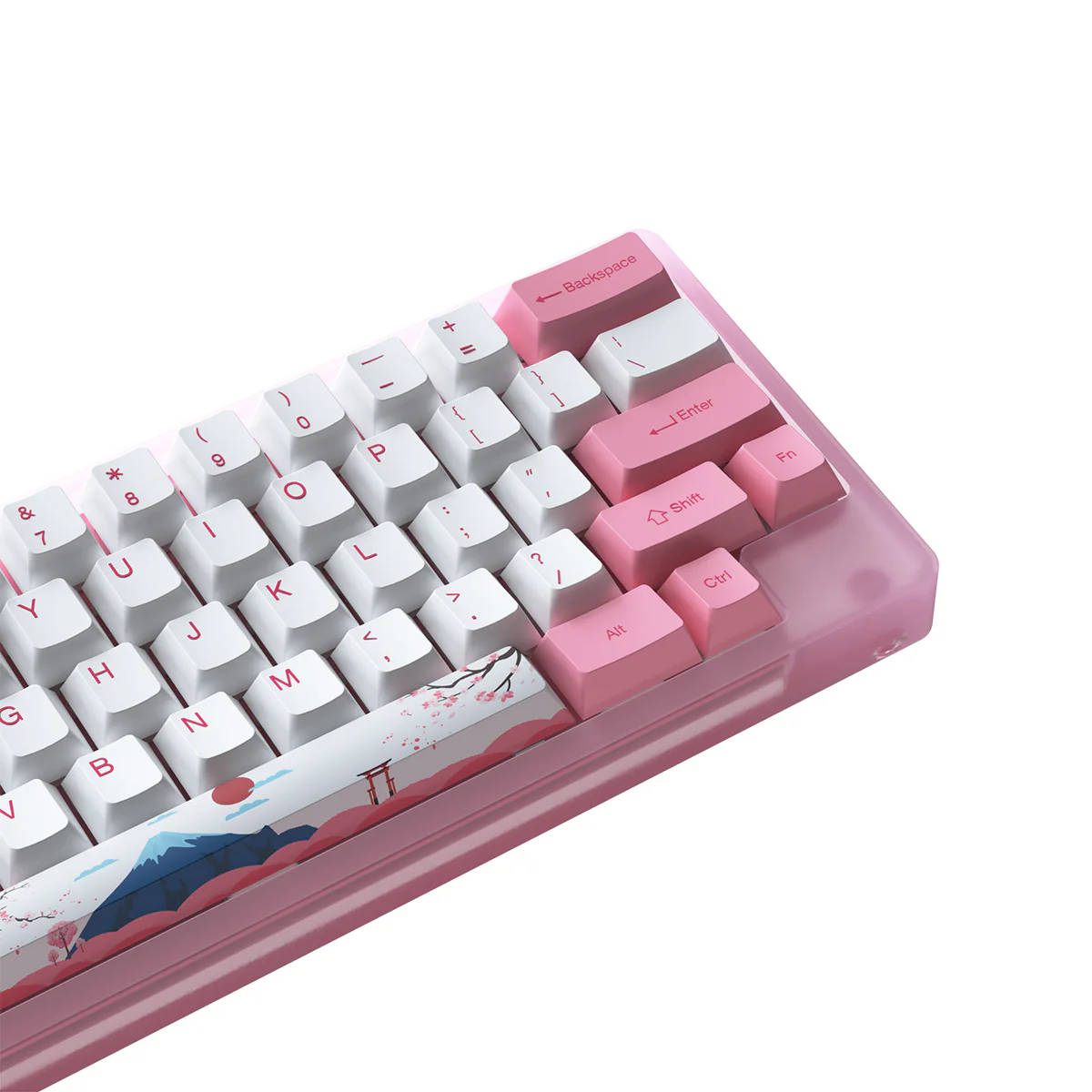 Akko ACR59 Combo RGB (SMD LED & Underglow) Hot-Swappable Acrylic Mechanical Keyboard World Tour Tokyo (Jelly Pink Switches) - Image 2