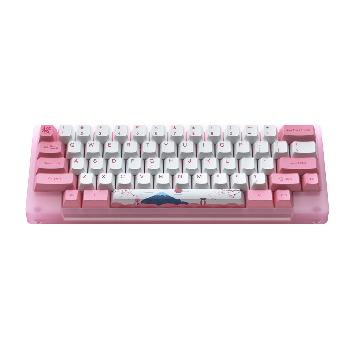 Akko ACR59 Combo RGB (SMD LED & Underglow) Hot-Swappable Acrylic Mechanical Keyboard World Tour Tokyo (Jelly Pink Switches) - Image 3