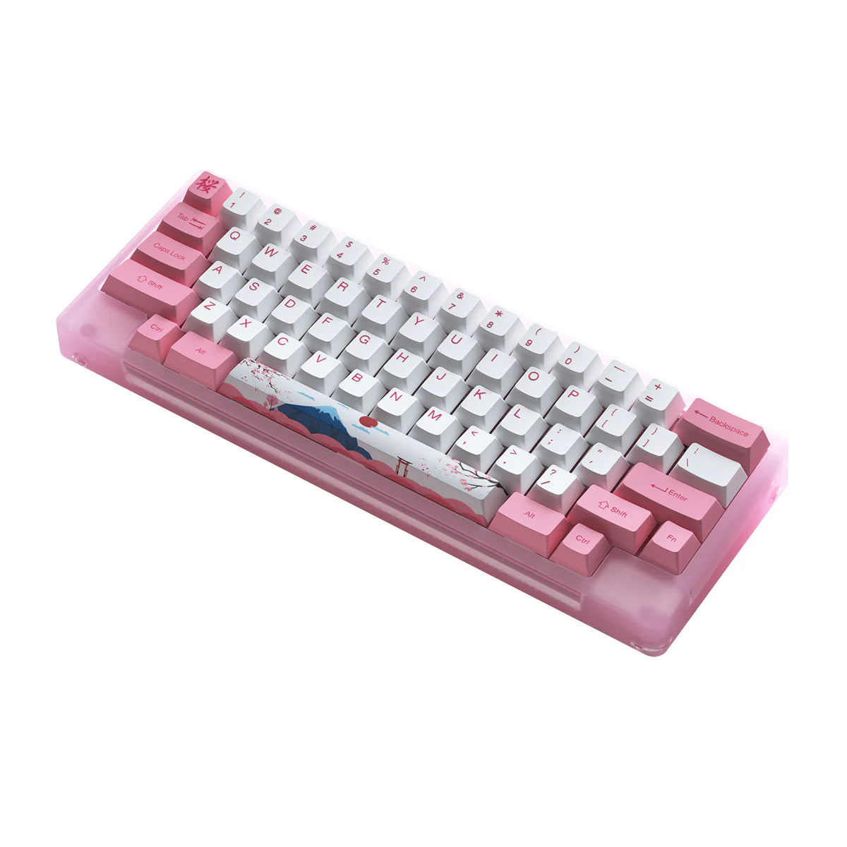 Akko ACR59 Combo RGB (SMD LED & Underglow) Hot-Swappable Acrylic Mechanical Keyboard World Tour Tokyo (Jelly Pink Switches) - Image 4