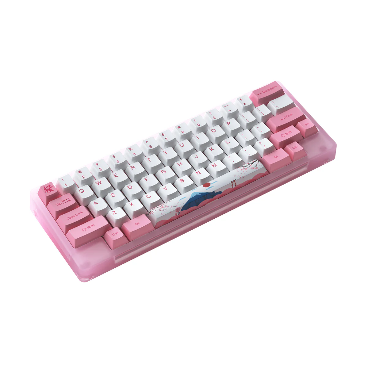 Akko ACR59 Combo RGB (SMD LED & Underglow) Hot-Swappable Acrylic Mechanical Keyboard World Tour Tokyo (Jelly Pink Switches) - Image 5
