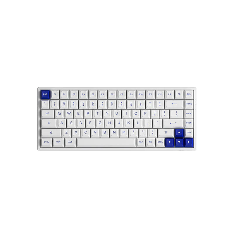 Akko Blue on White 3084B Plus Multi-Modes RGB Hot-Swappable Mechanical Keyboard (Akko V3 Cream Yellow) - Image 2