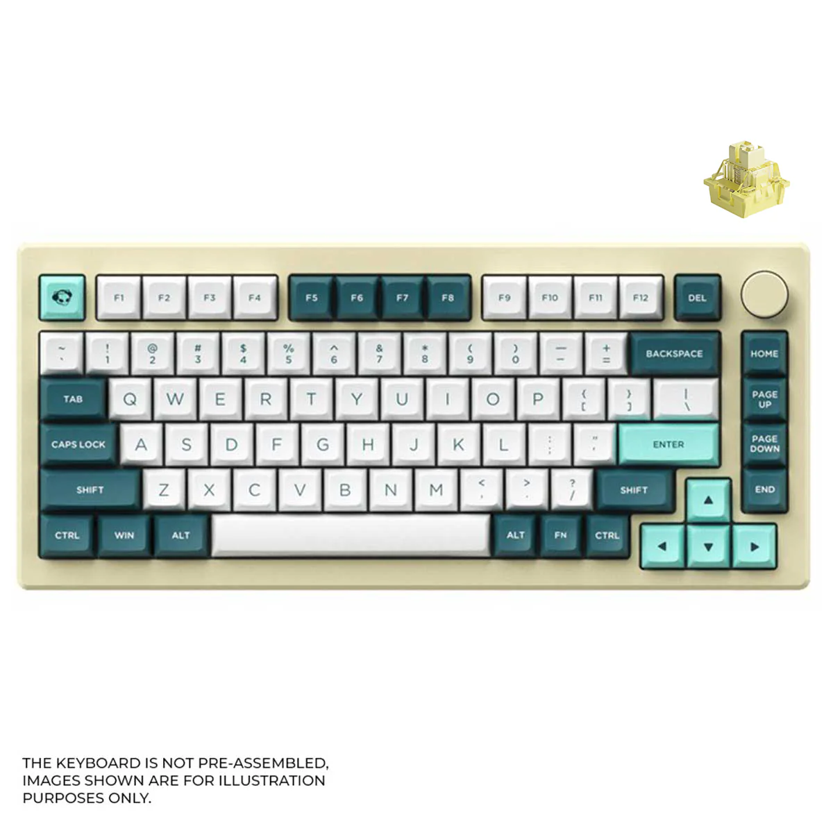 Akko MOD 007B HE DIY Kit With OSA Keycap Set 187-Key Cream White (Akko Cream Yellow Magnetic Switch) - Image 4