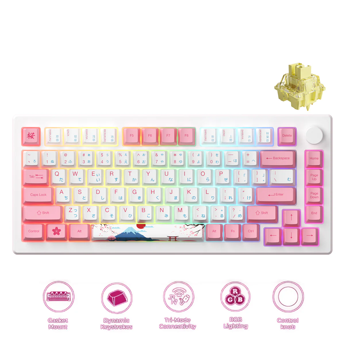 Akko MOD 007B HE PC Tri-Mode RGB Mechanical Keyboard (Tokyo R2) (Akko Cream Yellow Magnetic Switch)