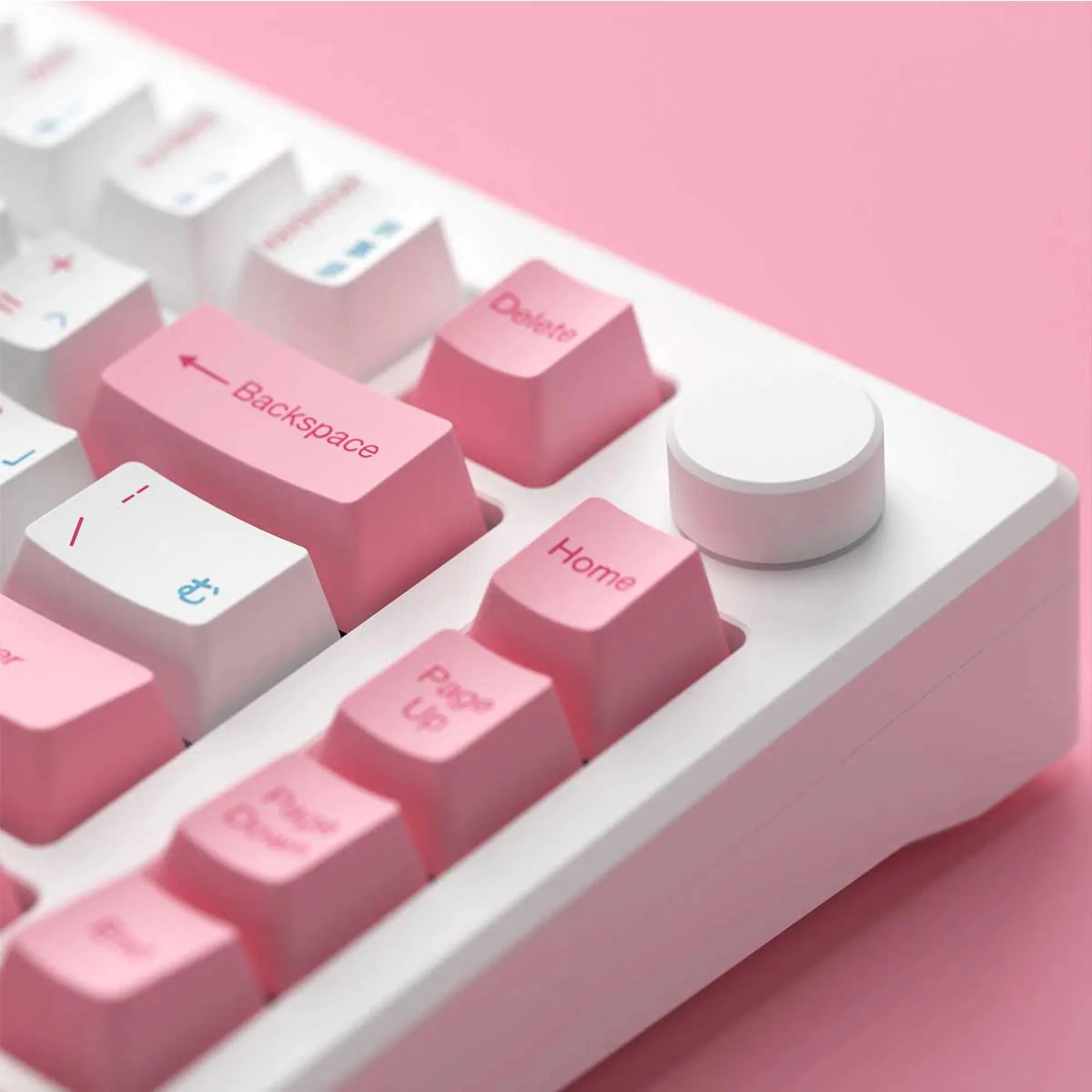 Akko MOD 007B HE PC Tri-Mode RGB Mechanical Keyboard (Tokyo R2) (Akko Cream Yellow Magnetic Switch) - Image 6