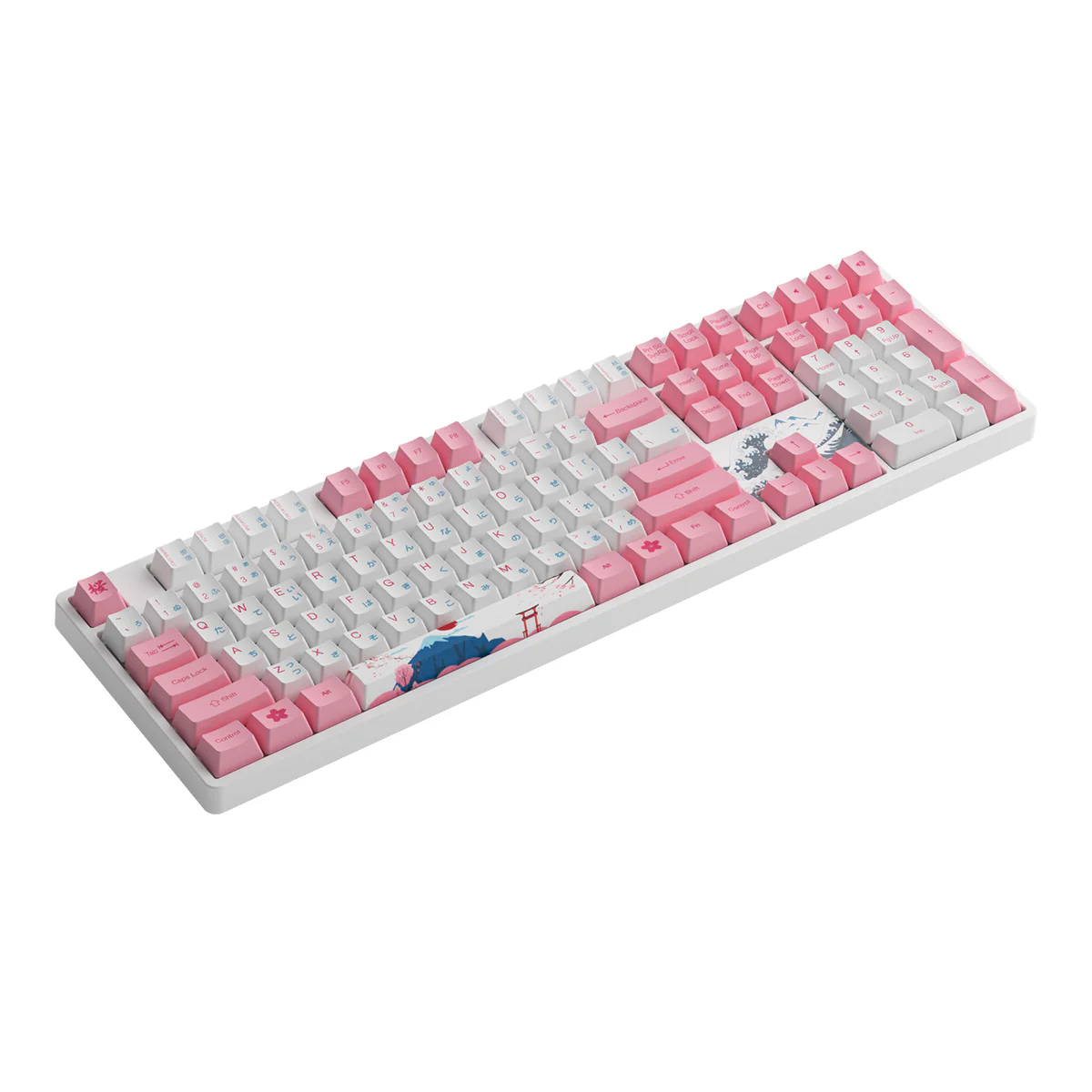 Akko World Tour Tokyo R2 5108S OEM SP RGB Hot-Swappable Mechanical Keyboard (Gateron Orange-Lubed) - Image 5