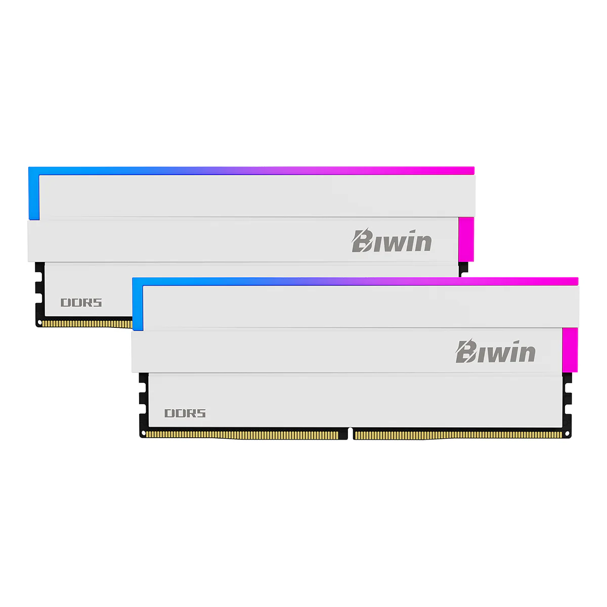Biwin Black Opal DW100 DDR5 RGB (16GBx2) 6000Mhz CL36-45-45-96 Gaming Memory White (BXL53260DW1-D36DW)