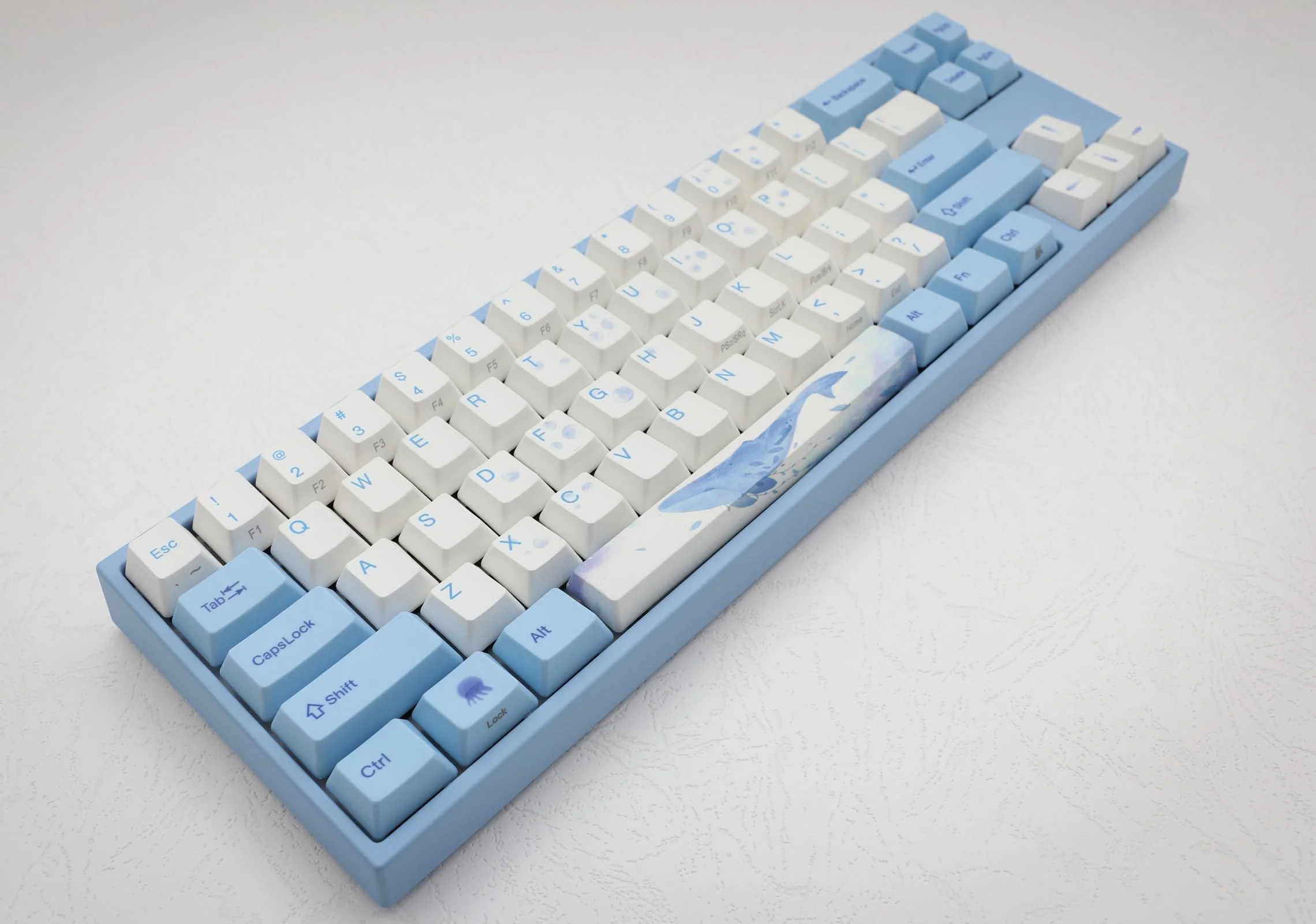 DUCKY MIYA PRO SEA MELODY MECHANICAL KEYBOARD (CHERRY MX BLUE) (MY68NC1N/WBPE7HV) - Image 5