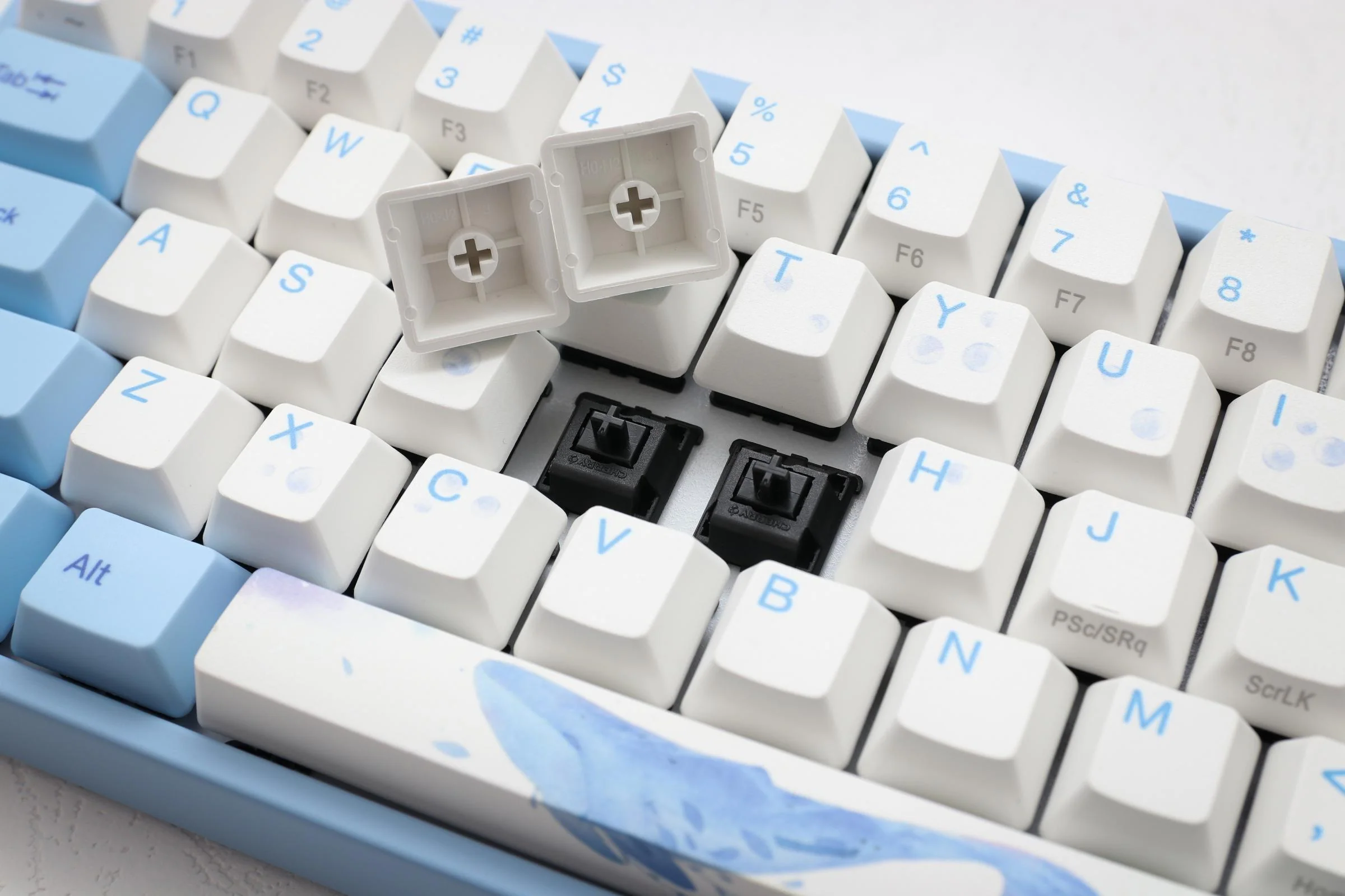 DUCKY MIYA PRO SEA MELODY MECHANICAL KEYBOARD (CHERRY MX BLUE) (MY68NC1N/WBPE7HV) - Image 7
