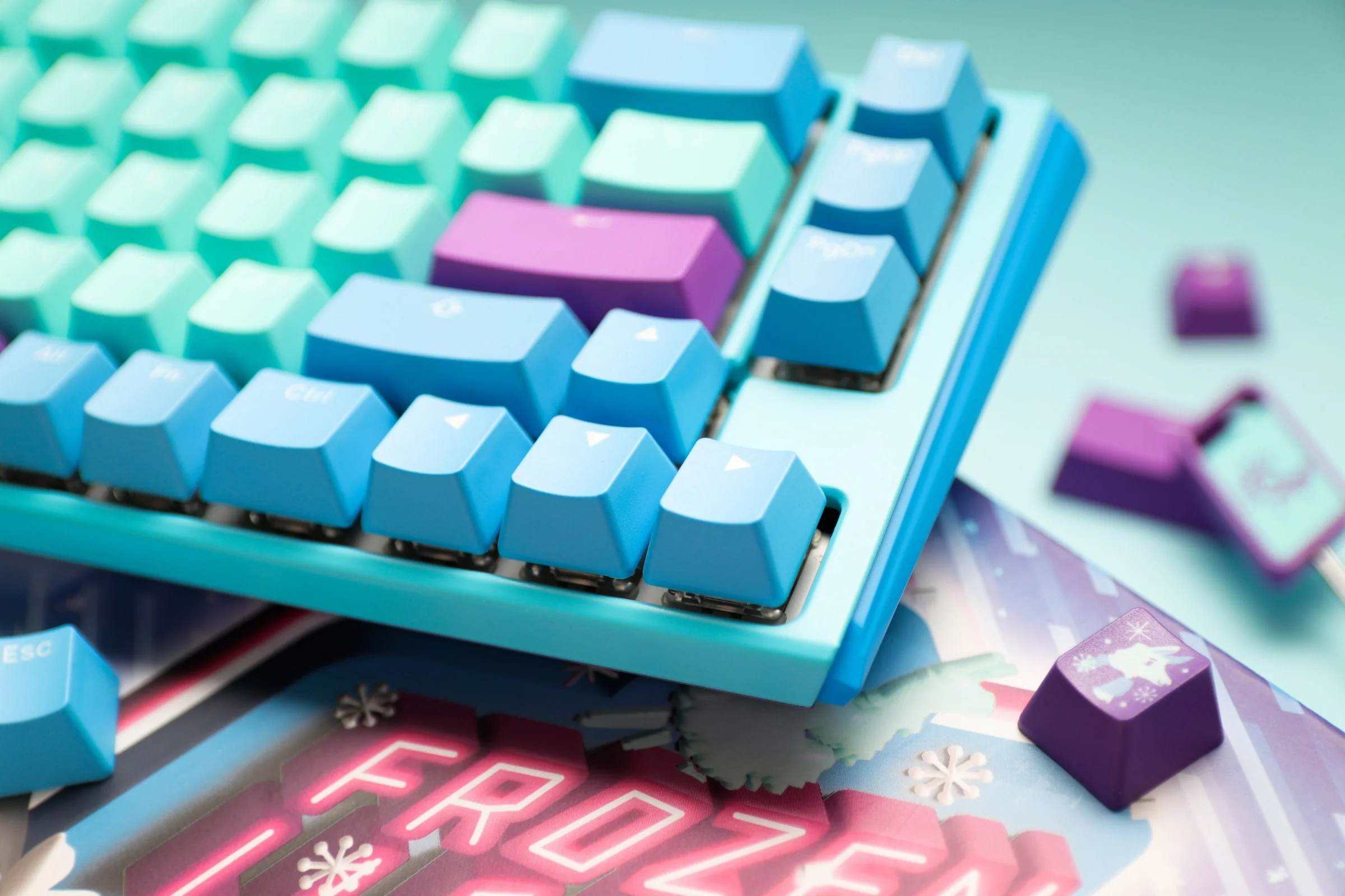 Ducky One 3 SF Frozen Llama Hotswap RGB Double-Shot PBT Mechanical Keyboard (Cherry RGB Brown) (DKON2167ST-BUSPDFLCVBC1) - Image 6