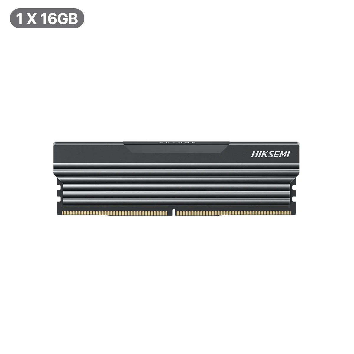 Hiksemi Future RGB 16GB DDR5 4800MHz UDIMM Gaming Memory with Heatsink (Black) (HSC516U48C2 16G)