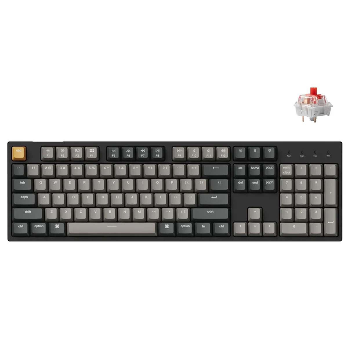 Keychron C2 Pro QMK/Via RGB Backlit Hot-Swappable Full Size Wired Mechanical Keyboard (K Pro Red Switch, K Pro Brown Switch) - Image 2