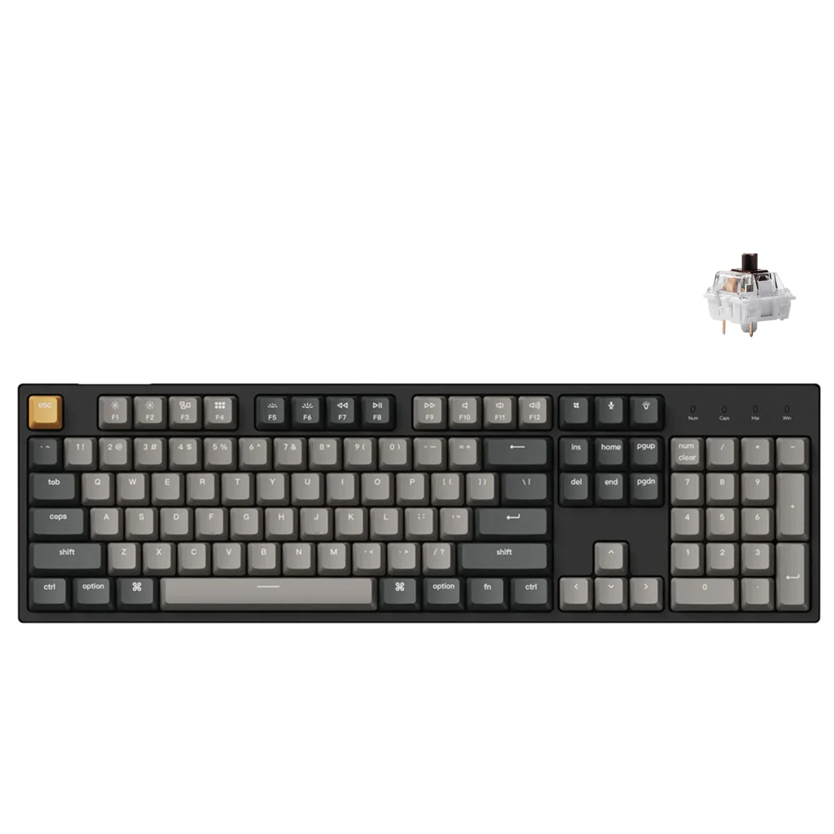 Keychron C2 Pro QMK/Via RGB Backlit Hot-Swappable Full Size Wired Mechanical Keyboard (K Pro Red Switch, K Pro Brown Switch) - Image 3