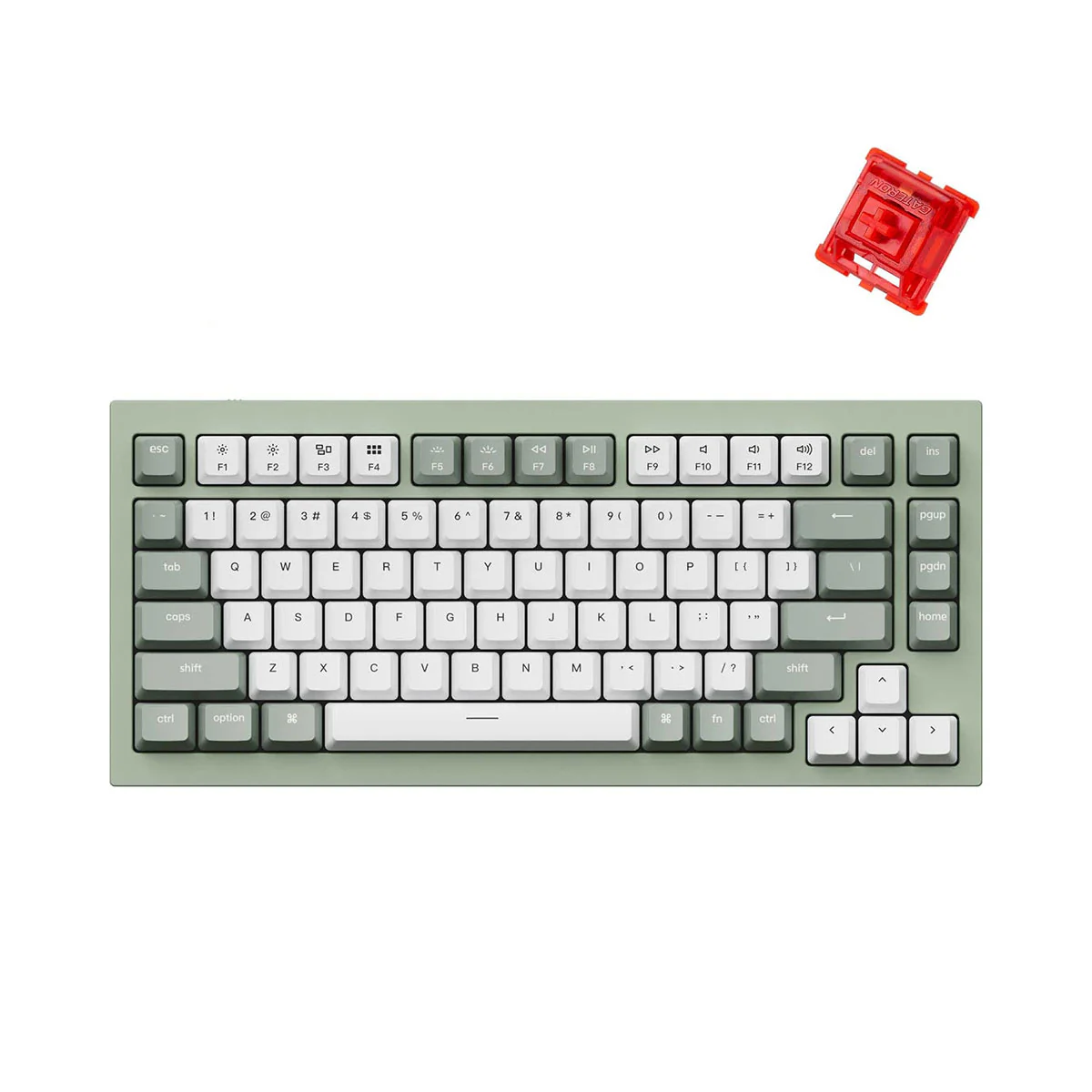 Keychron Q1 QMK/Via 75% Custom All-Metal Hot-Swappable RGB Mechanical Carbon Keyboard - Green (Gateron Phantom Red Switch) (Q1L1)