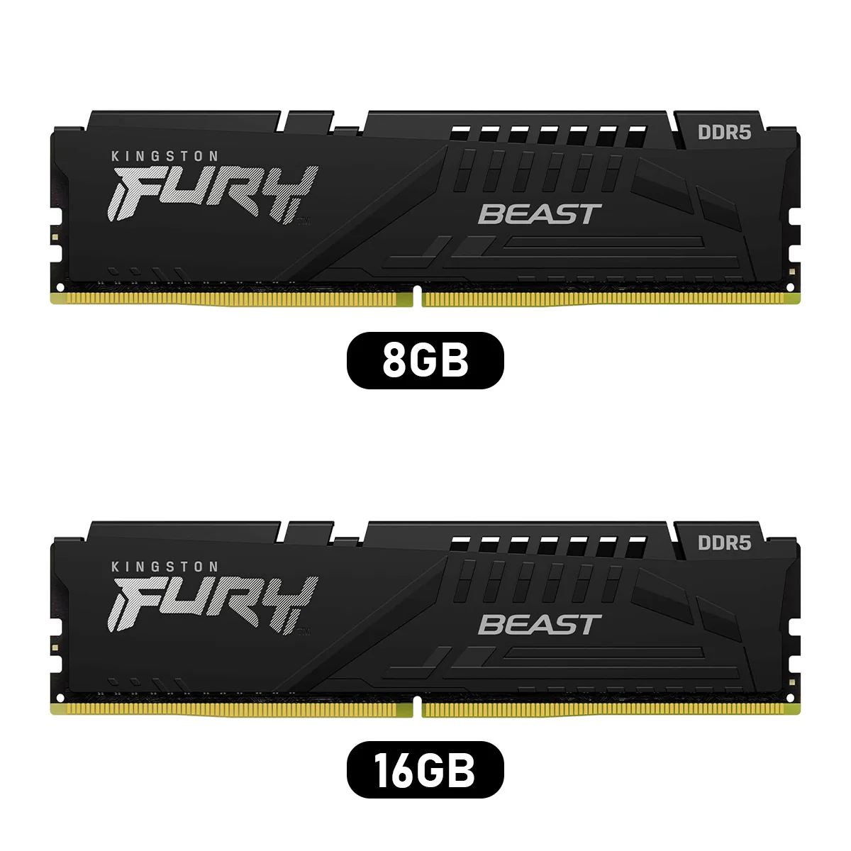 Kingston Fury Beast DDR5 5600MT/s CL36-38-38 1.25V EXPO/XMP Desktop Memory (8GB, 16GB) ((KF556C36BBE-8, KF556C36BBE-16)
