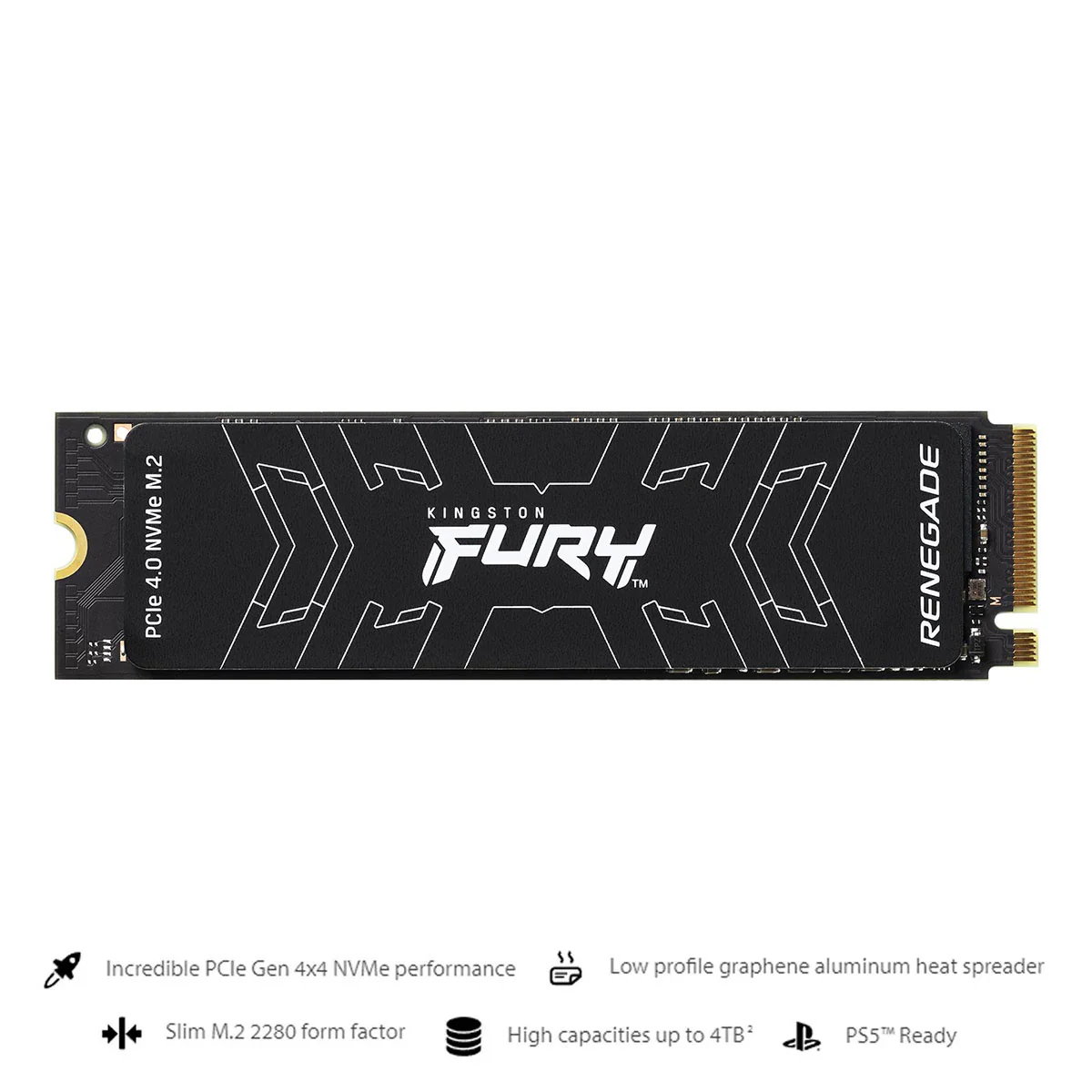 Kingston Fury Renegade 1TB PCIE 4.0 NVME M.2 Internal Gaming SSD (SFYRS/1000G)