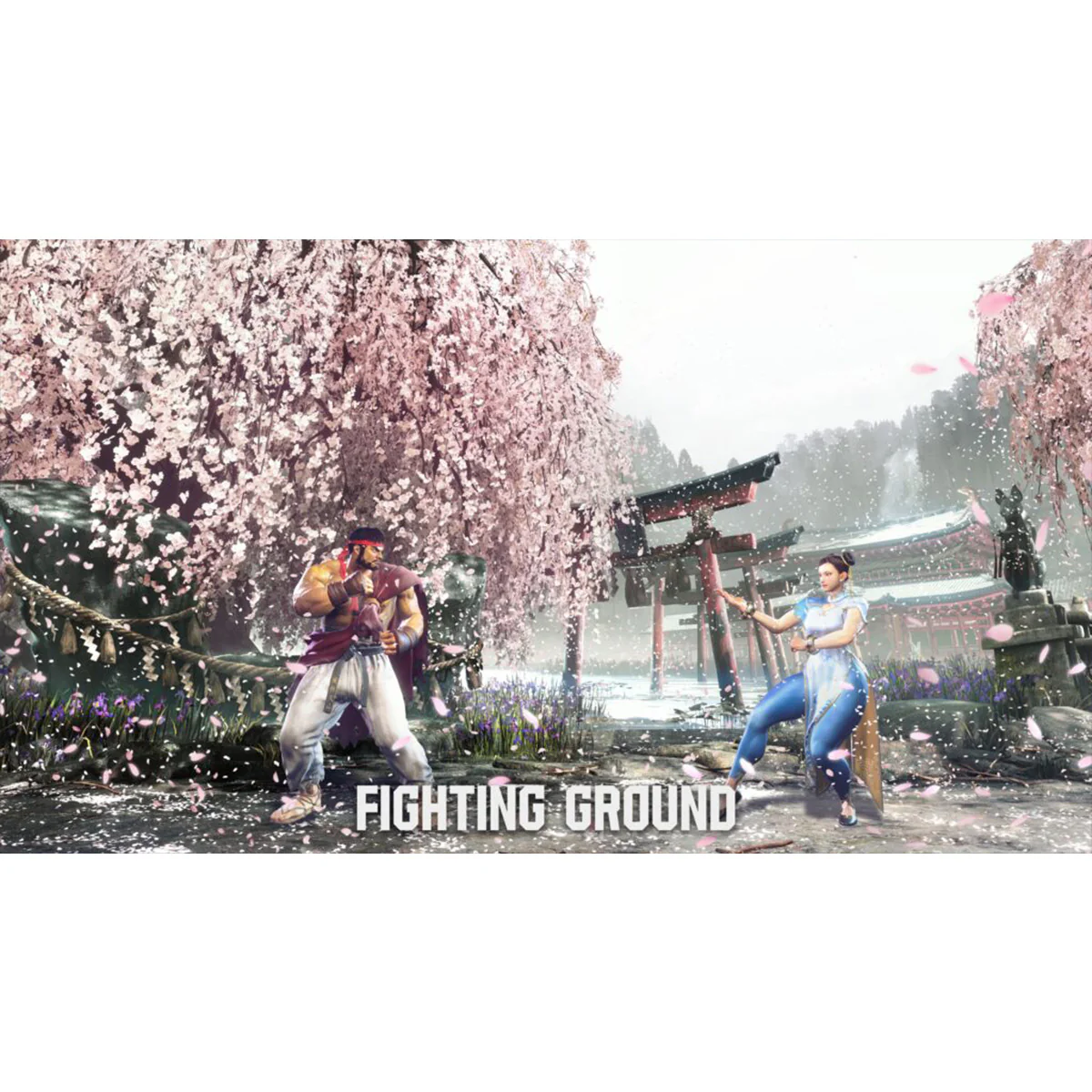 Nintendo Switch 2 Street Fighter 6 Years 1-2 Fighters Edition (Eng/EU) - Image 3
