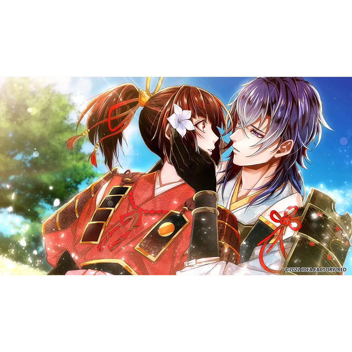 Nintendo Switch Birushana Winds of Fate (US) - Image 3