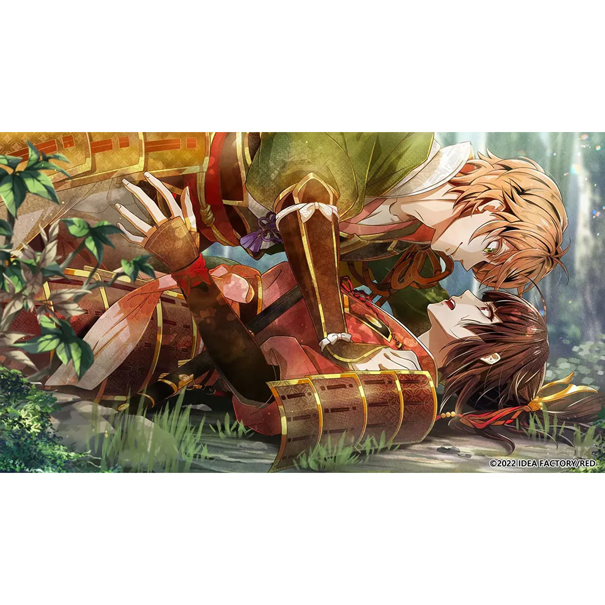 Nintendo Switch Birushana Winds of Fate (US) - Image 5