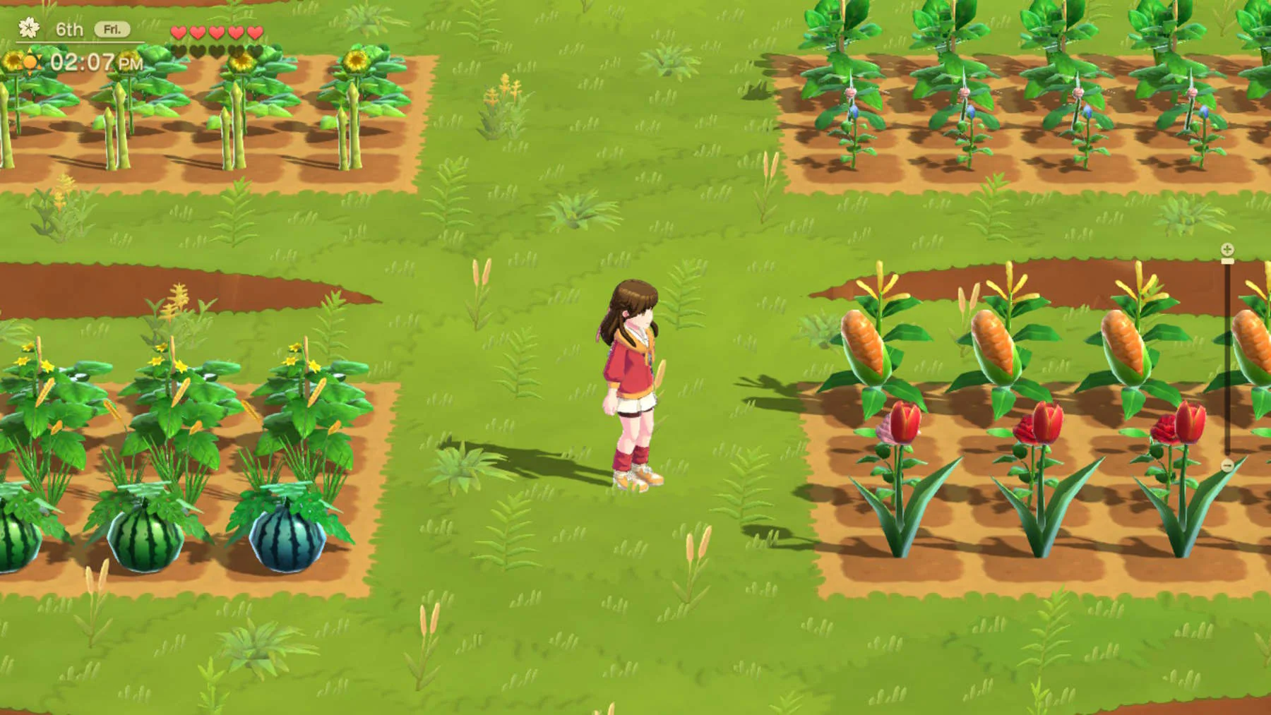Nintendo Switch Harvest Moon Home Sweet Home Special Edition (Asian) - Image 3