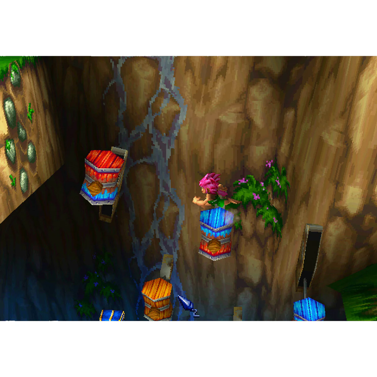 Nintendo Switch Tomba! 2 The Evil Swine Return Special Edition (US) - Image 2
