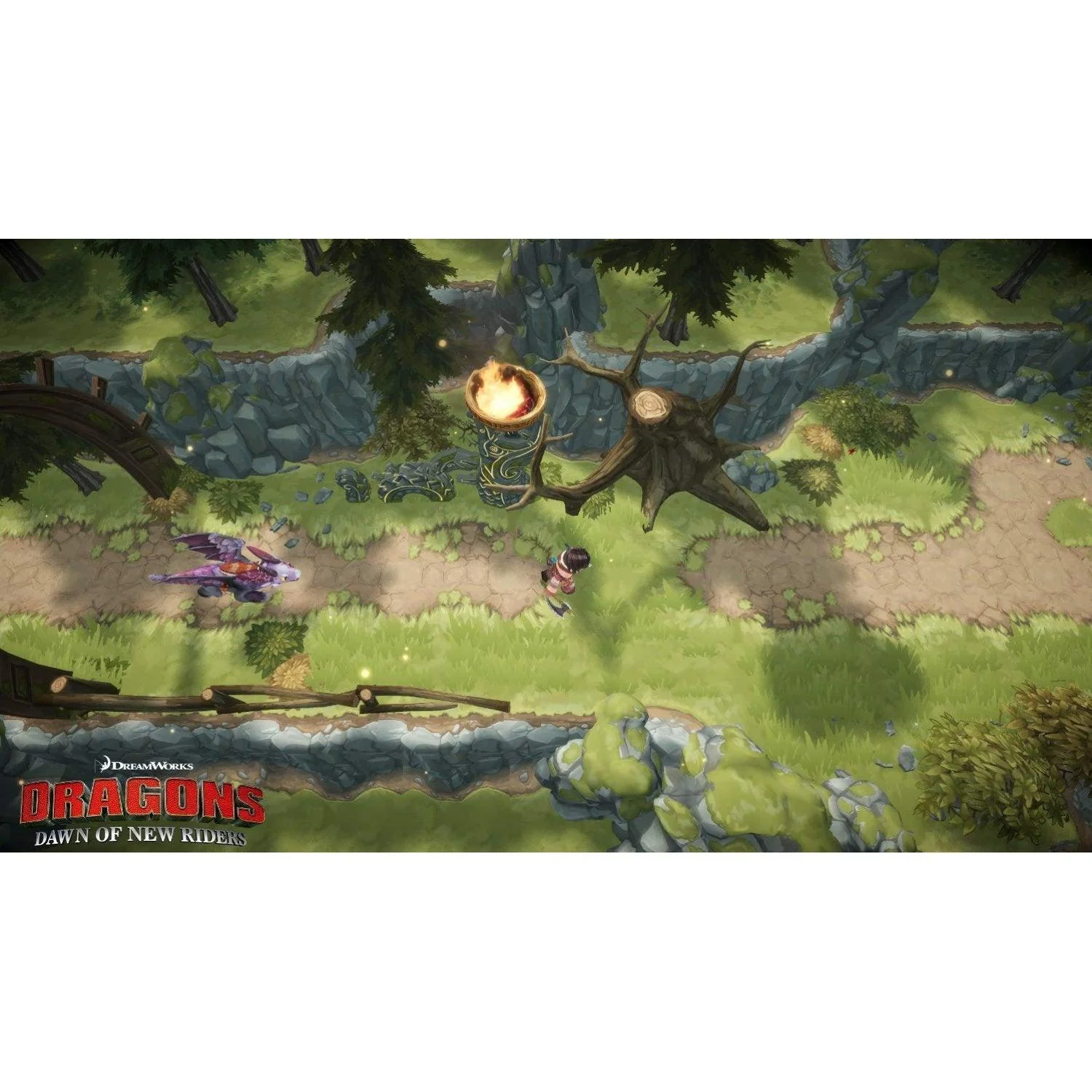 Nintendo Switch Dragons Dawn Of New Riders (US) (Eng/Fr/Sp) - Image 2