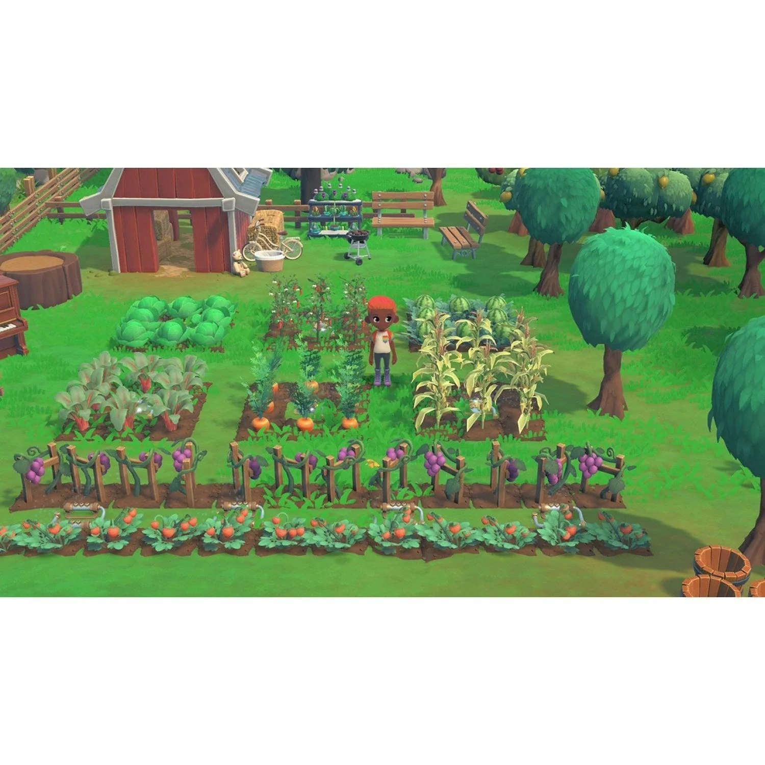 Nintendo Switch Hokko Life (Eng/EU) - Image 10