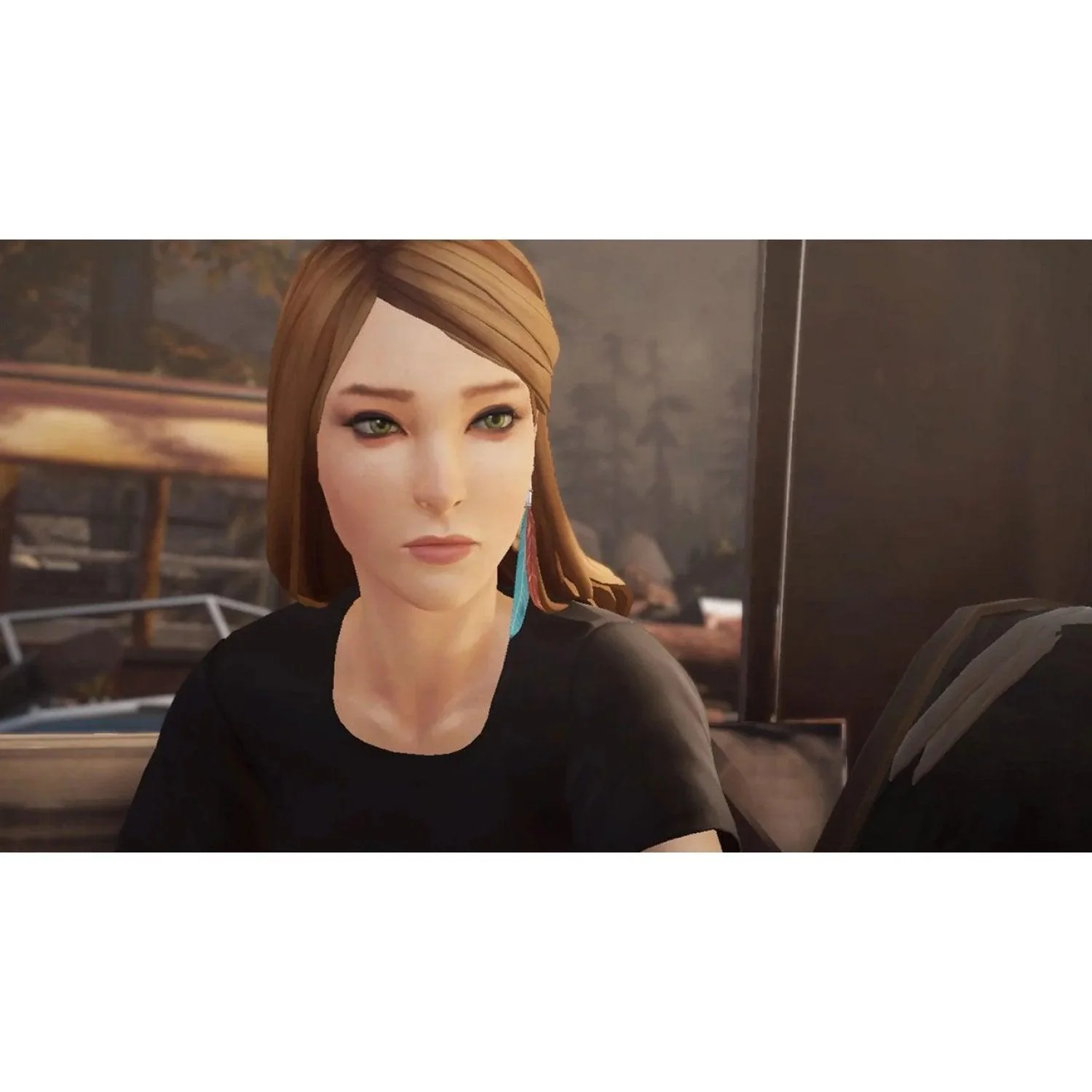 Nintendo Switch Life Is Strange Arcadia Bay Collection (Eng/EU) - Image 2