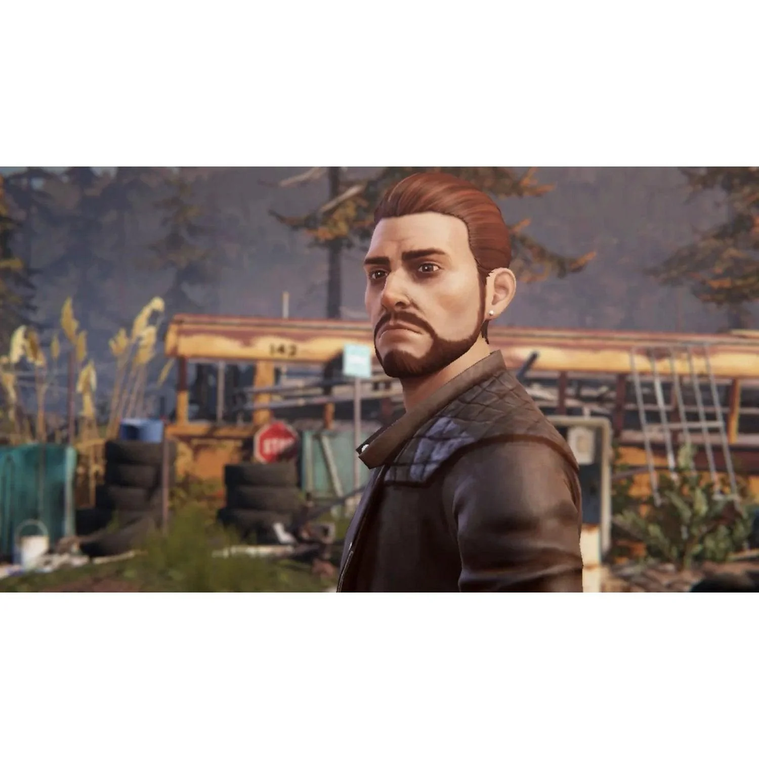 Nintendo Switch Life Is Strange Arcadia Bay Collection (Eng/EU) - Image 5