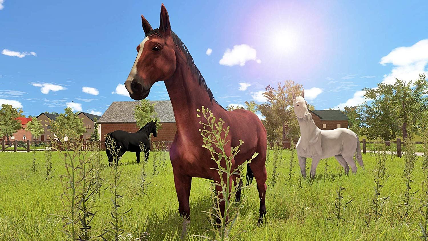 Nintendo Switch My Little Riding Champion (US) - Image 2