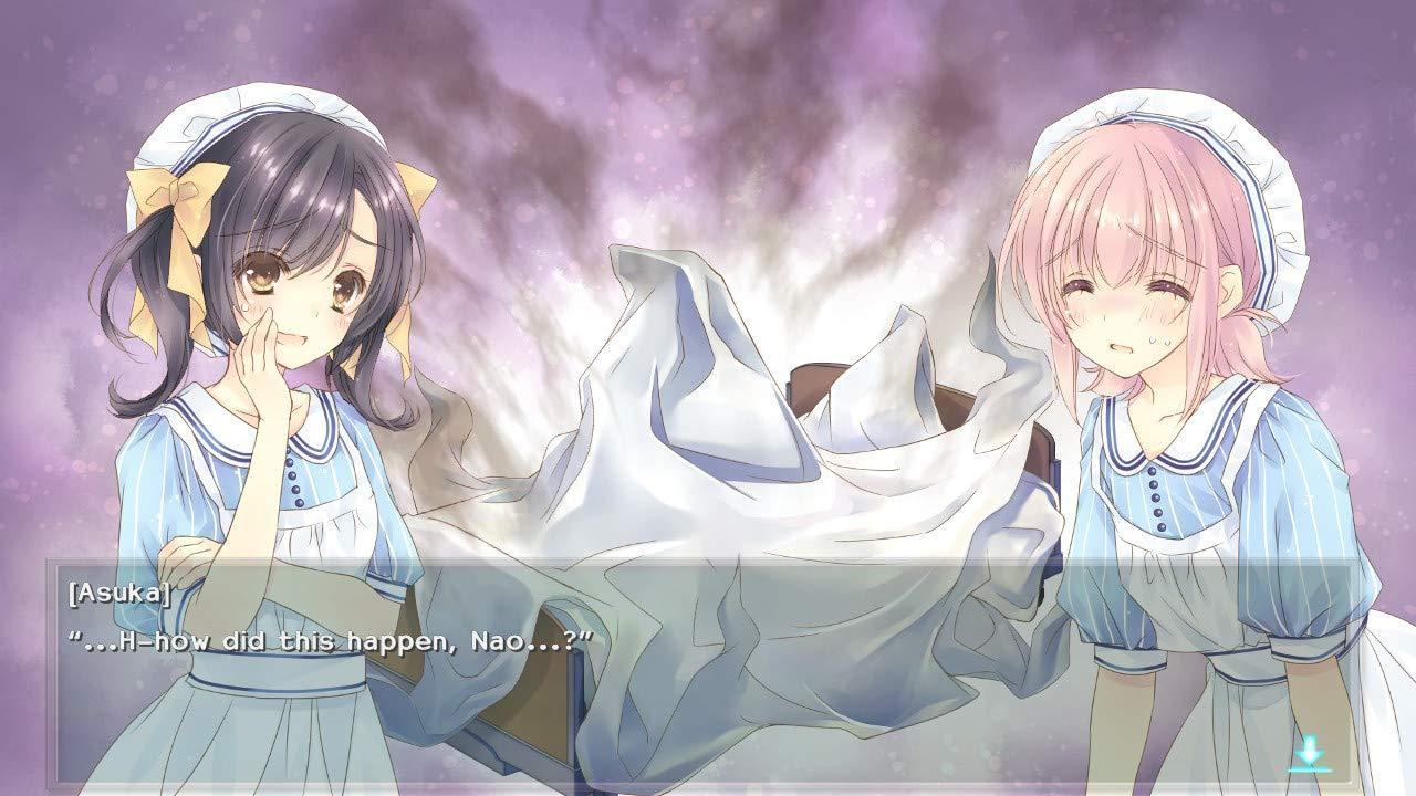 Nintendo Switch Nurse Love Obsession (US) - Image 8