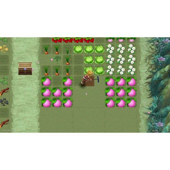 Nintendo Switch Rune Factory 3 Special (US) - Image 3