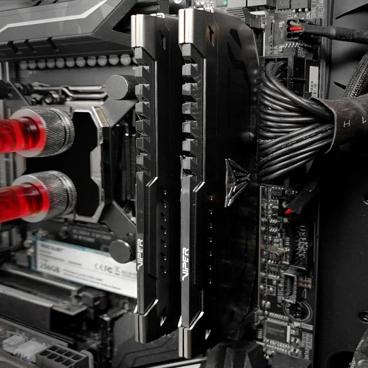Patriot Viper Steel DDR4 CL16 3200MHz UDIMM Memory (8GB, 16GB) - Image 6