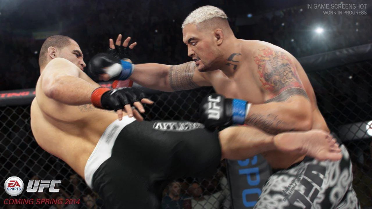 PS4 EA Sports UFC All - Image 2