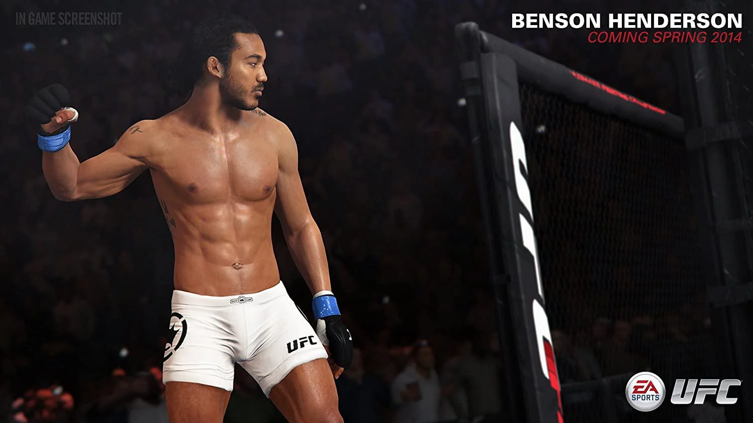 PS4 EA Sports UFC All - Image 5