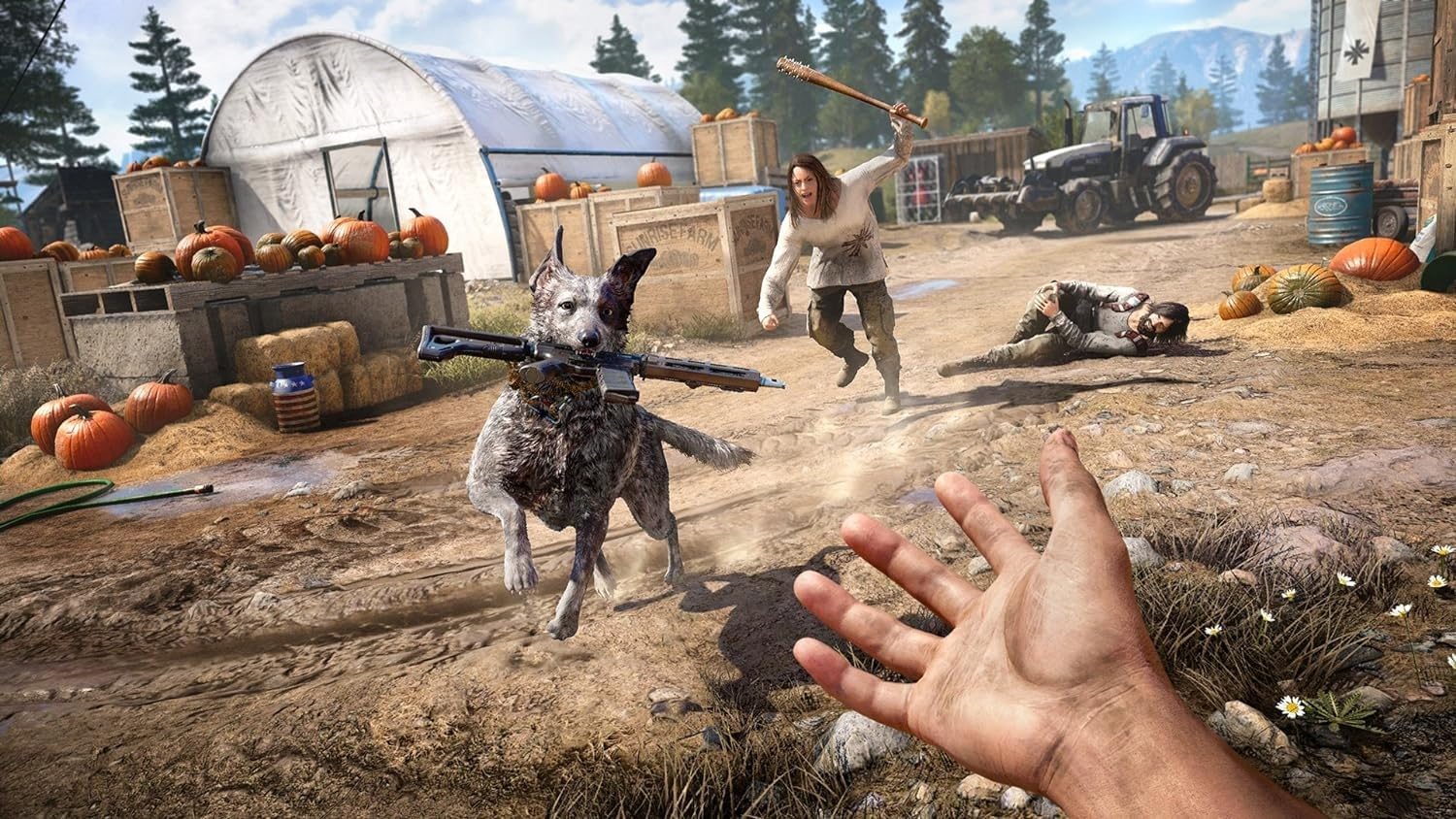 PS4 Far Cry 5 Reg.2 (Eng/EU) - Image 5