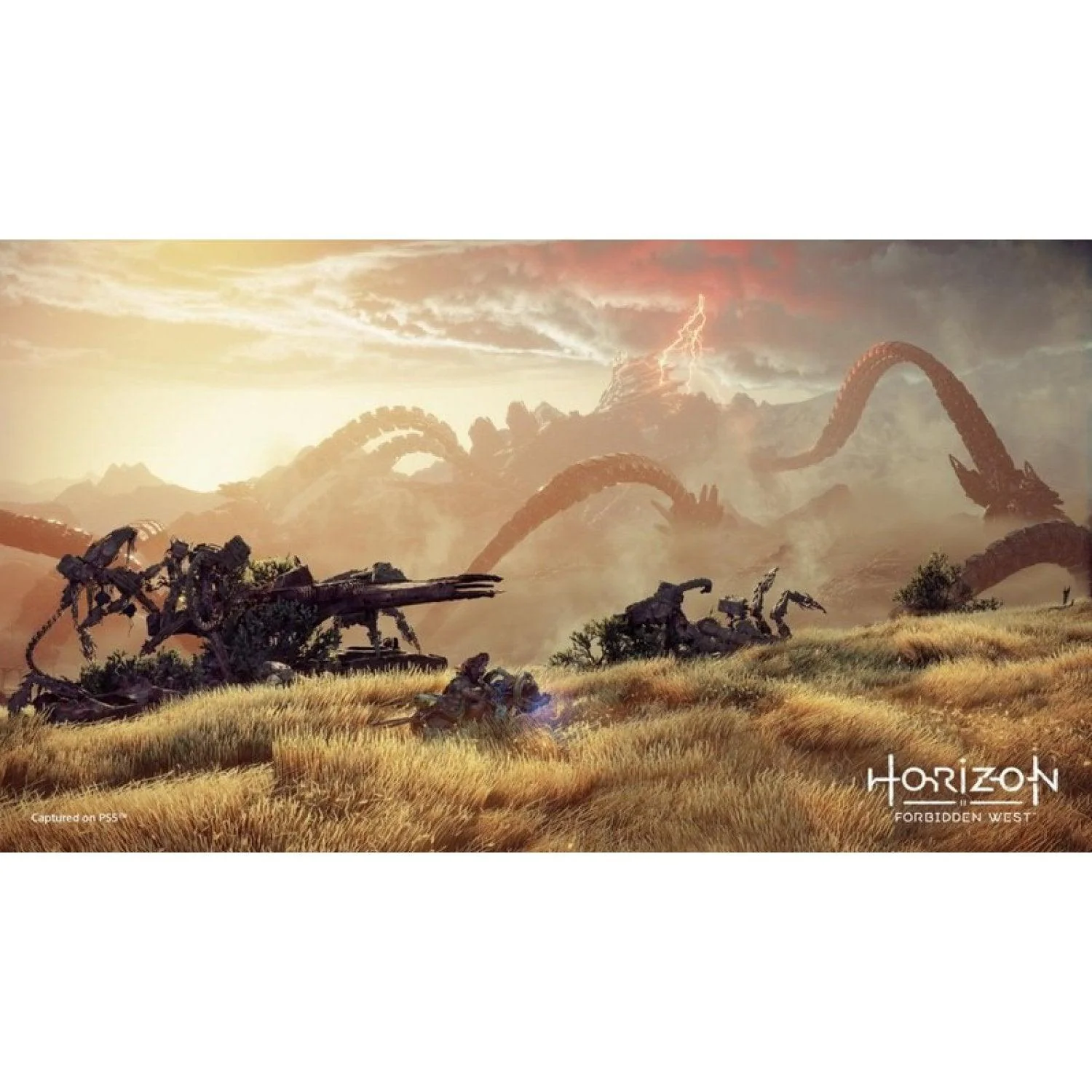 PS4 Horizon Forbidden West All (US) - Image 8