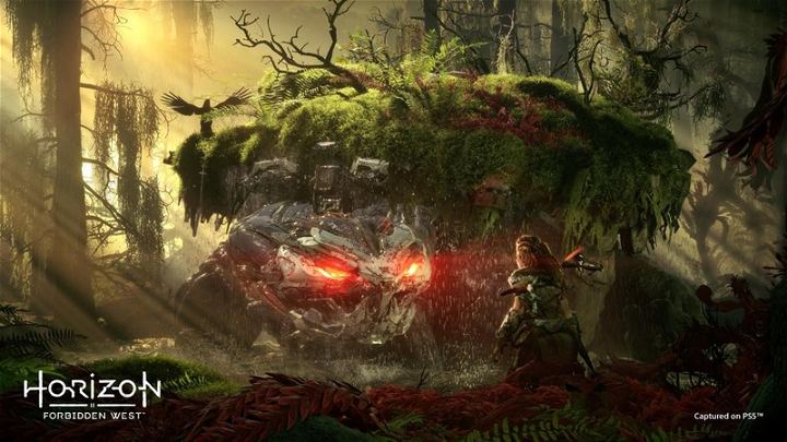 PS4 Horizon Forbidden West Reg.2 (ENG/EU) - Image 2