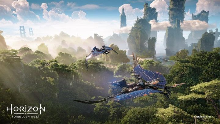 PS4 Horizon Forbidden West Reg.2 (ENG/EU) - Image 4