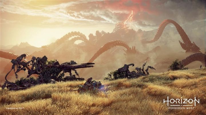 PS4 Horizon Forbidden West Reg.2 (ENG/EU) - Image 8