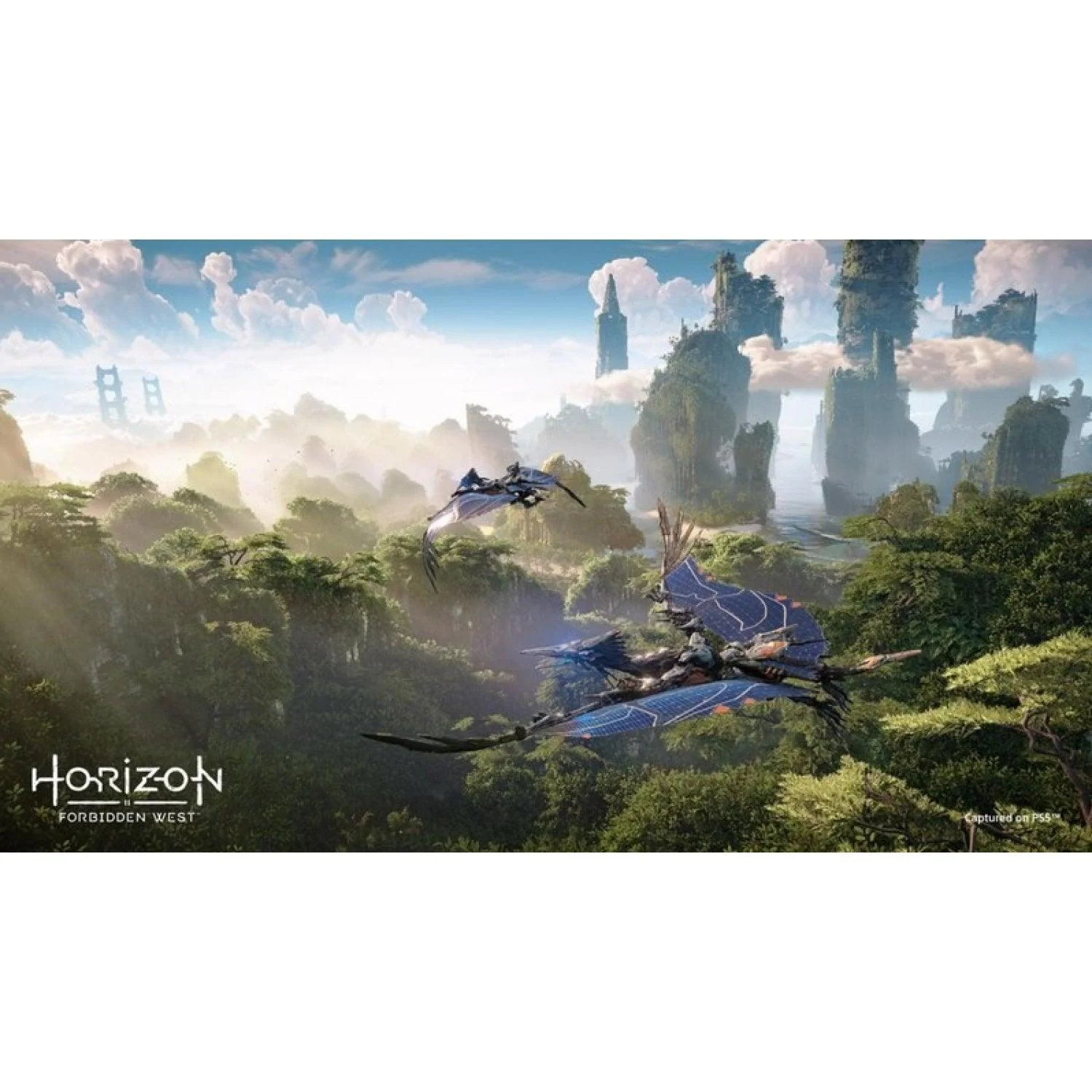 PS4 Horizon Forbidden West Special Edition Reg.3 - Image 4