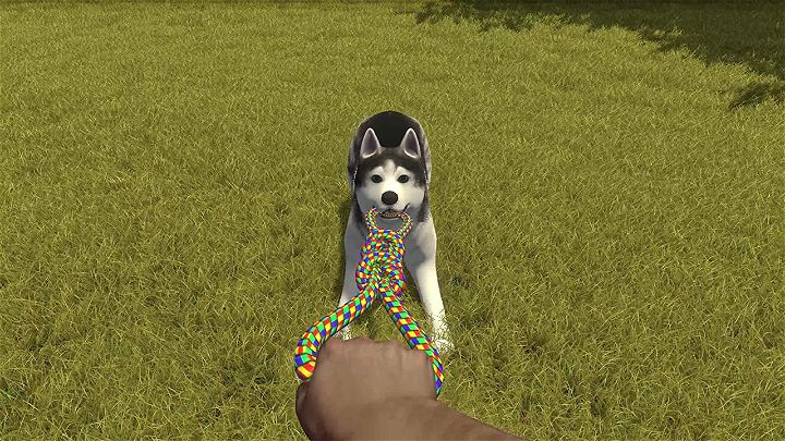 PS4 House Flipper Pets Edition All (ENG/FR) - Image 8