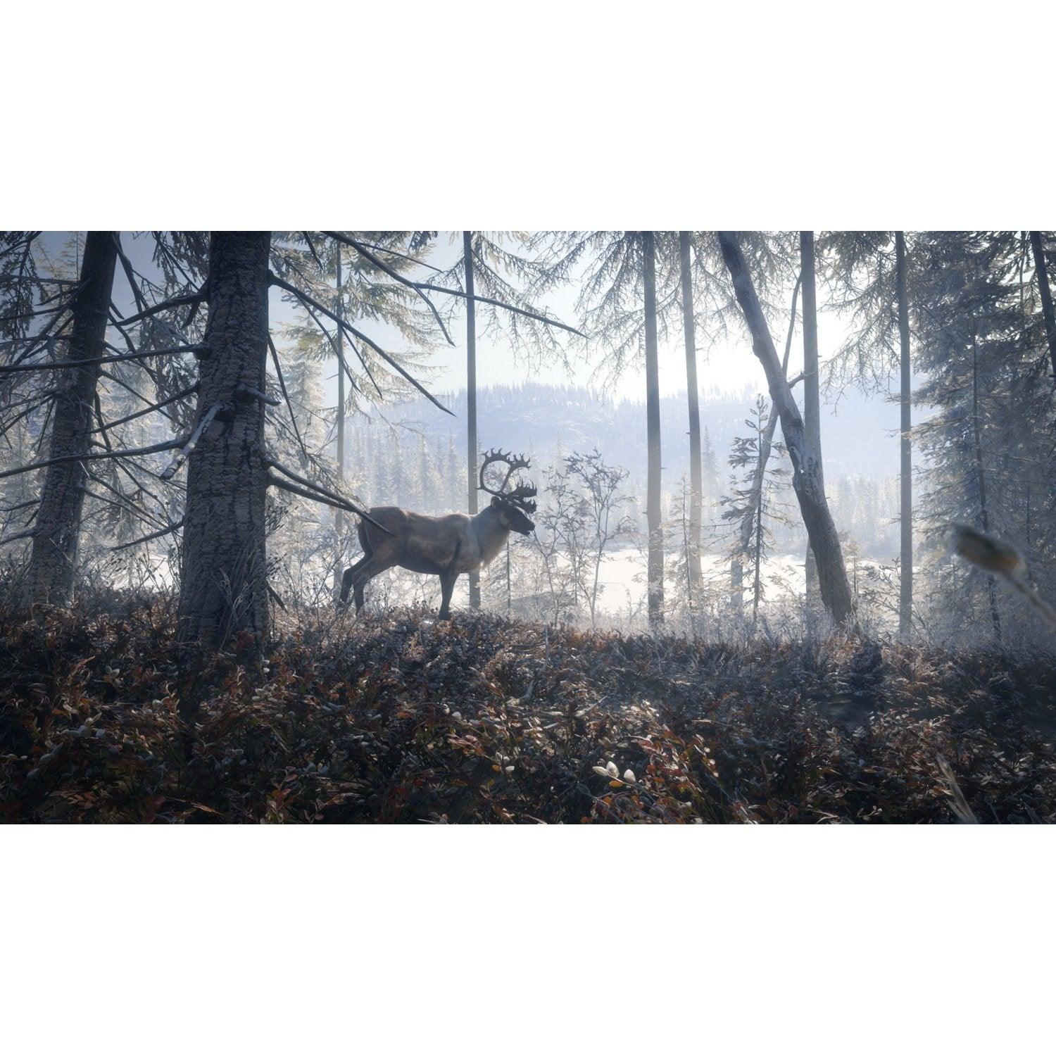 PS4 The Hunter Call of the Wild 2019 Edition Reg.2 - Image 2