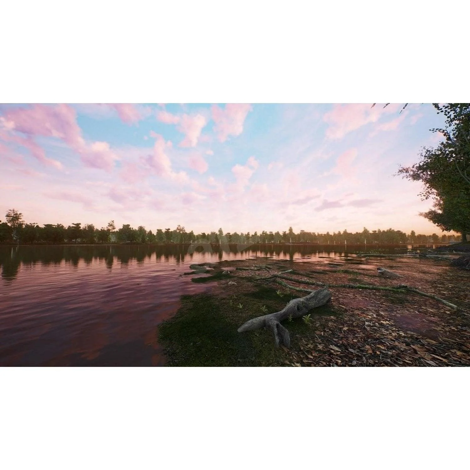 PS5 Bassmaster Fishing 2022 Deluxe Edition (Eng/EU) - Image 6
