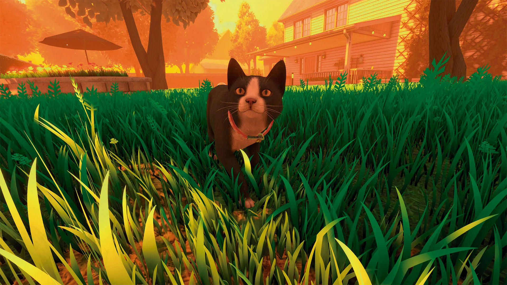 PS5 Copycat (Eng/EU) - Image 6