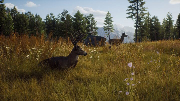 PS5 Way Of The Hunter Hunting Season One (ENG/EU) - Image 7
